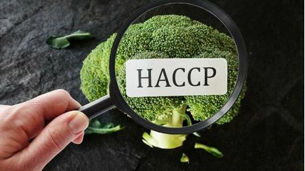 HACCP - Segurança alimentar